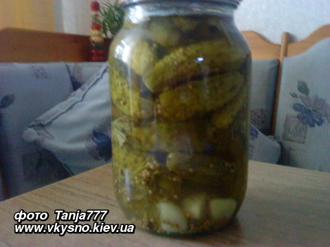 ������������ �������� (������ Tanja777)