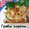 ����� ������� � ����������
