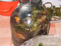 рецепт Баклажаны квашеные фаршированные рецепт Баклажаны квашеные фаршированные