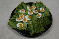 рецепт Быстрая закуска с красной икрой рецепт Быстрая закуска с красной икрой