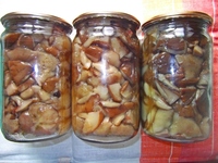 рецепт Маринованные грибы (рецепт Олэнки) рецепт Маринованные грибы (рецепт Олэнки)